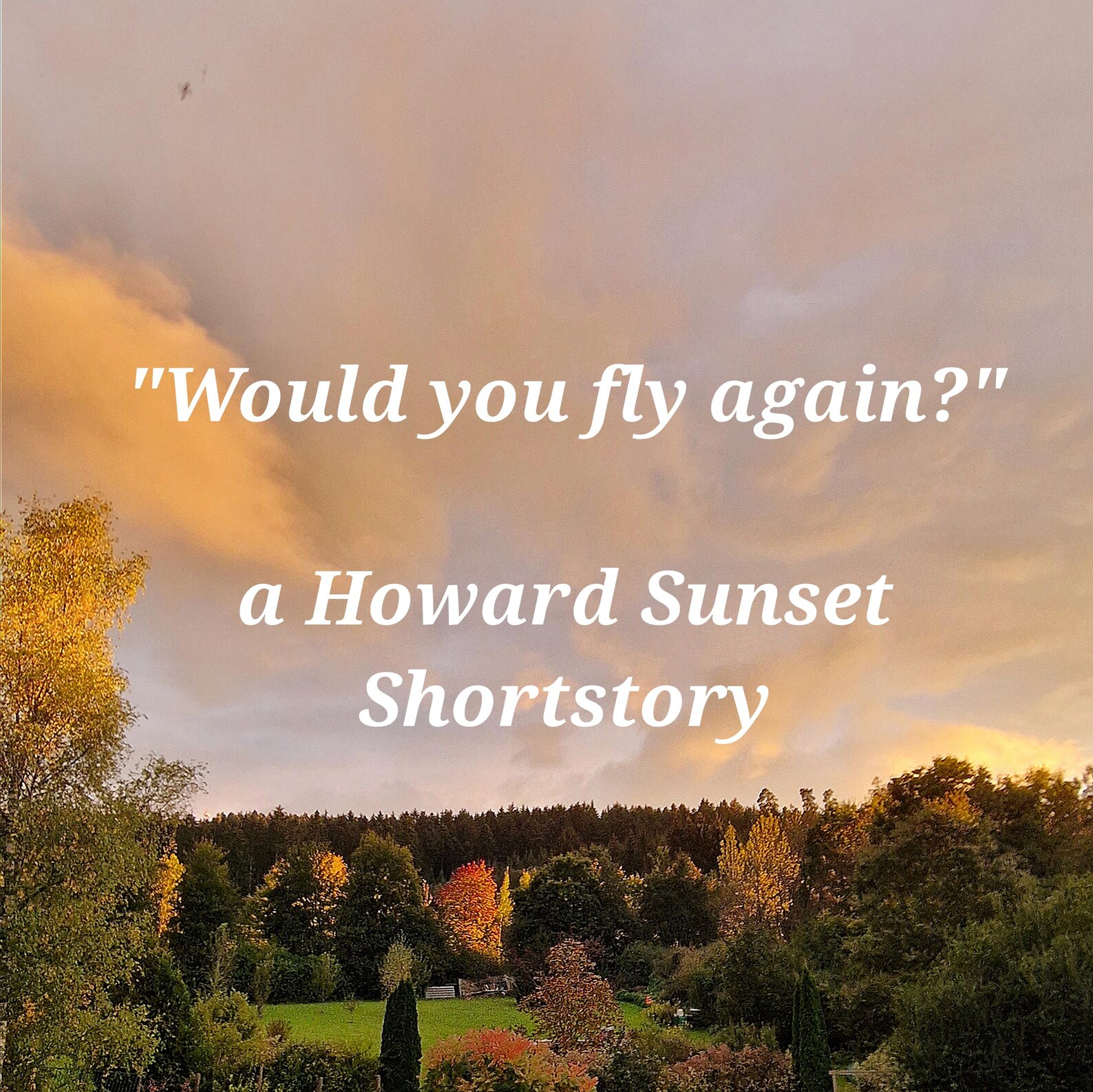 An English Suspense Story - "Would you fly again?"