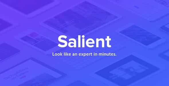 Salient - Responsive Multi-Purpose Theme download